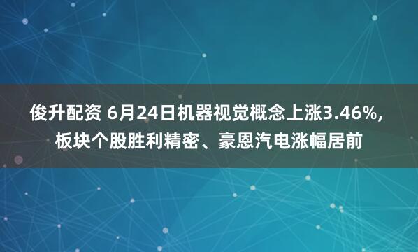 俊升配资 6月24日机器视觉概念上涨3.46%, 板块个股胜利精密、豪恩汽电涨幅居前