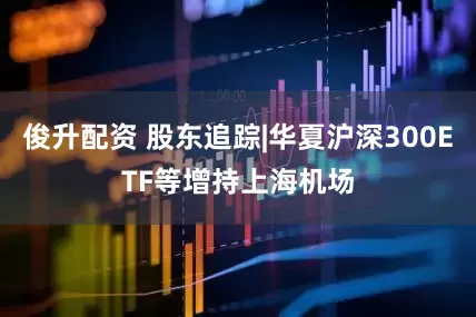 俊升配资 股东追踪|华夏沪深300ETF等增持上海机场